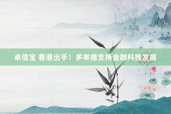 卓信宝 香港出手！多举措支持金融科技发展
