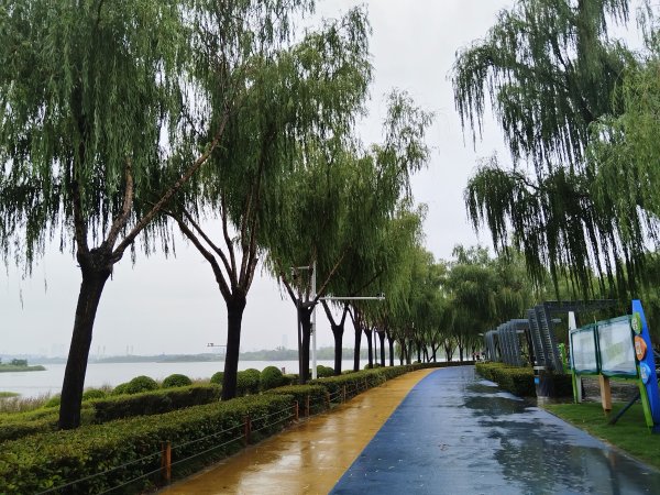 云资管 允许青春期孩子说到做不到，对抗厌学内耗刺毛都消失